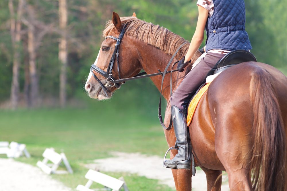 Adaptive Horseback Riding - Living With FA - Friedreich's Ataxia News ...