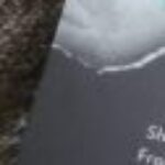 Profile photo of Shannon