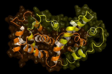 illustration of the frataxin protein