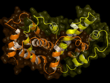 illustration of the frataxin protein