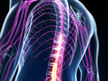 spinal cord, brain atrophy