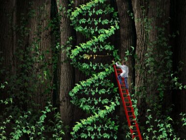 NAF Young Investigator Research Award