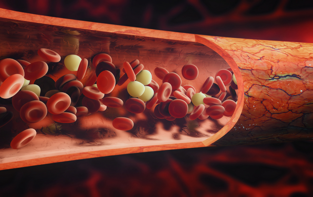 FA study of platelets