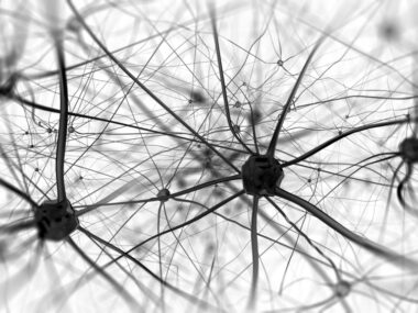 Nerve fibers and FA