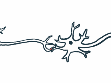 An illustration offers a close-up view of a synapse, the site where nerve impulses are transmitted between cells.