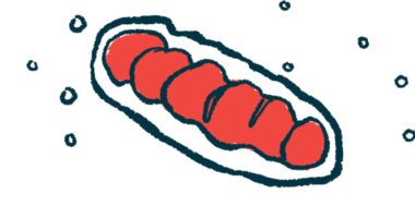 A illustration provides a close-up view of mitochondria, organelles that supply cells with energy.