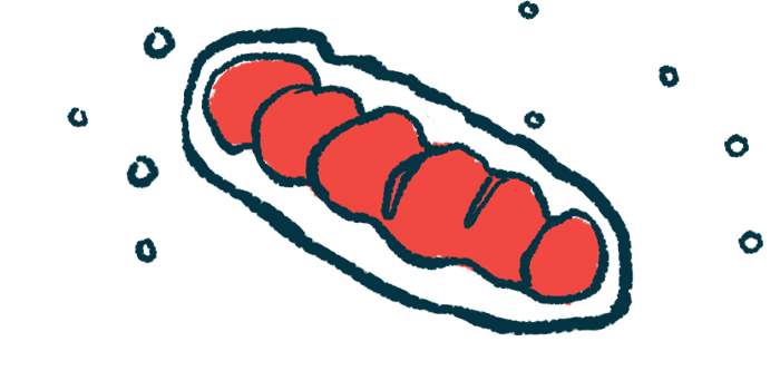 frataxin protein | Friedreich's Ataxia News | illustration of mitochondria