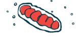 An illustration of mitochondria.