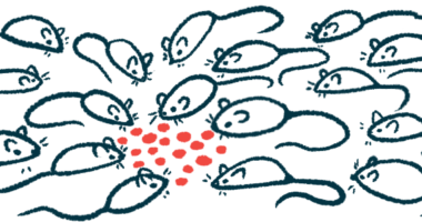A group of mice congregate to feed.