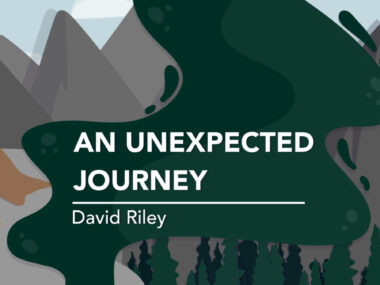 Banner for David Riley's column, 