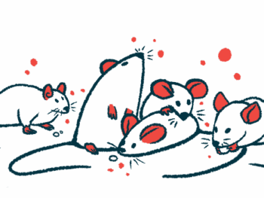 A group of mice is shown.