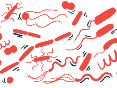 An illustration of various types of bacteria.
