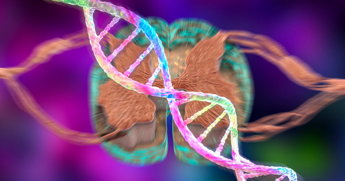 Friedreich S Ataxia Genetics And Inheritance Patterns Friedreich S