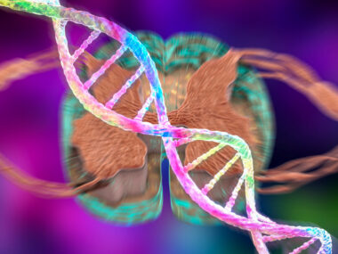 DNA illustration