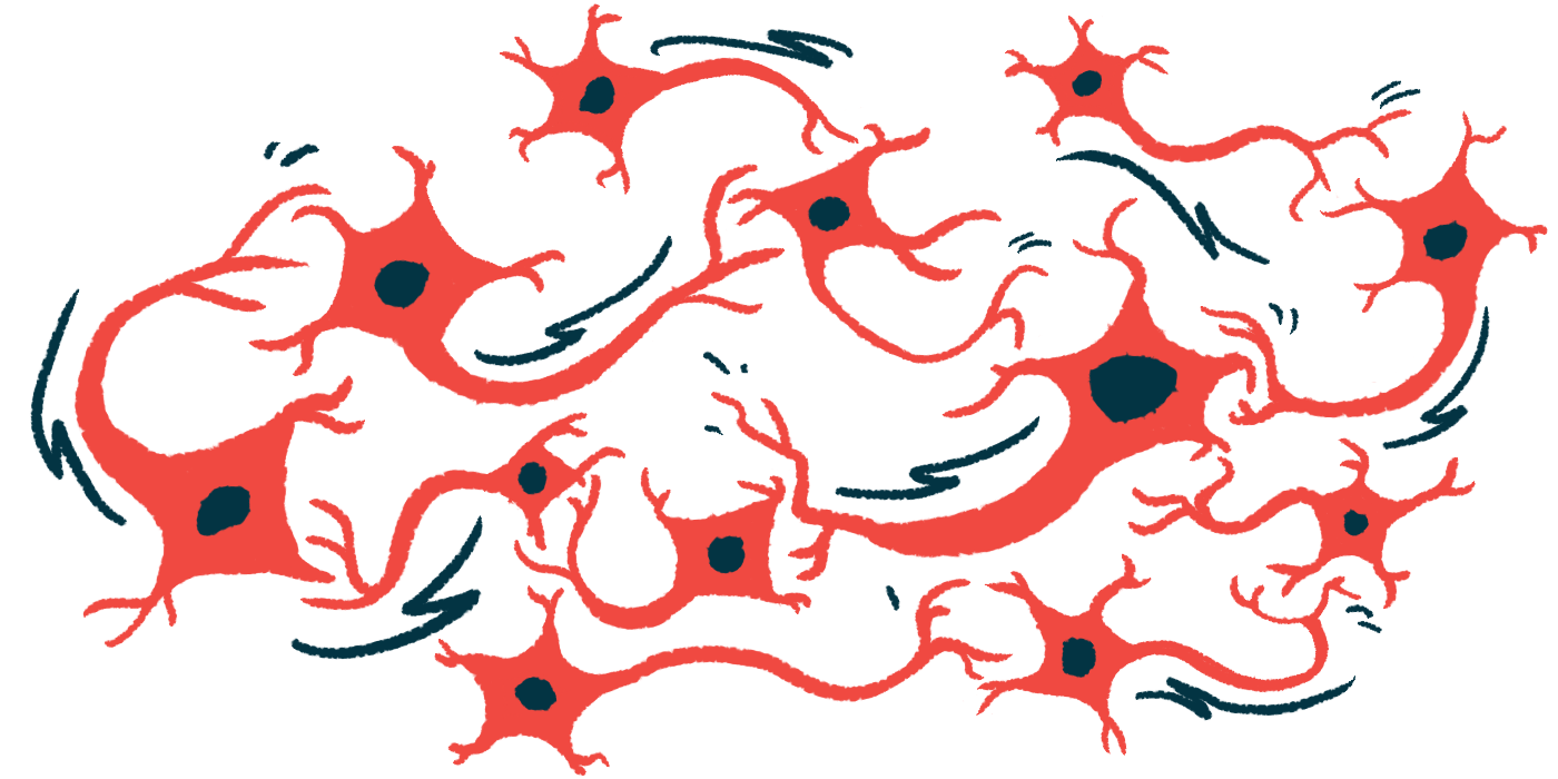 An illustration of nerve cells and their branching connections, highlighting neurons involved in sensory signaling.